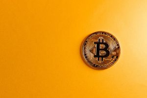 Shiba Inu coin price